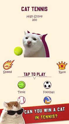 Cat Tennis Master - Screenshot 2