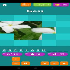 Flowers Quiz - Screenshot 3