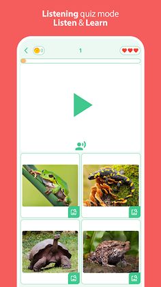 Animals Quiz: Memory learning - Screenshot 4