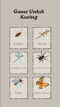 Game Untuk Kucing - Screenshot 1