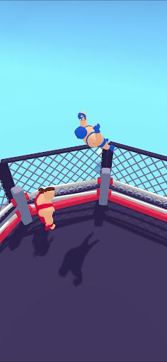Superfly Splash: Wrestling - Screenshot 2