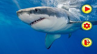 پازل کوسه - Screenshot 1