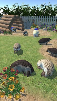 Hedgehog Friends - Screenshot 1