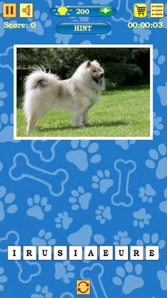 Dogs Quiz - Screenshot 3