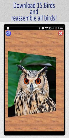 15:Birds Puzzle - Screenshot 4