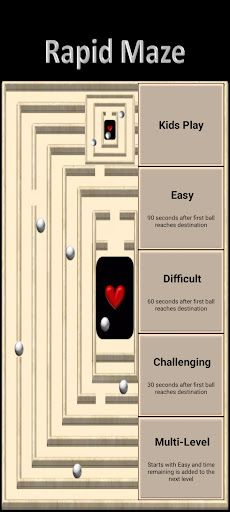 Rapid Maze - Screenshot 1