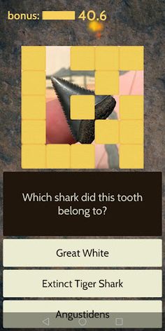 Fossil Quiz by PalaeoArt - Screenshot 1