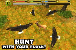 Eagle Simulator™ - Screenshot 3