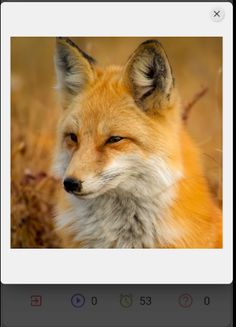 DShuffle - Screenshot 4