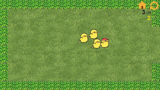 Chick in Maze - Screenshot 3
