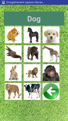 learn animals for kids - Screenshot 4