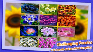 Fluzzles - Puzzle Game for And - Screenshot 1