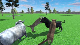 Wild Cougar Simulator 3D - Screenshot 3