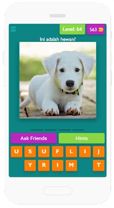 Learn Animals - Screenshot 2