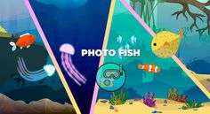 Photo Fish - Screenshot 3