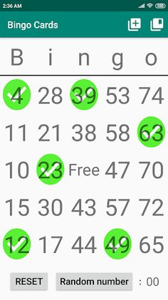 Bingo Card - Screenshot 2