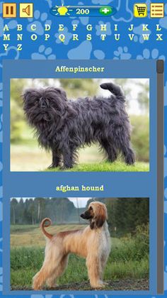 Dogs Quiz - Screenshot 4