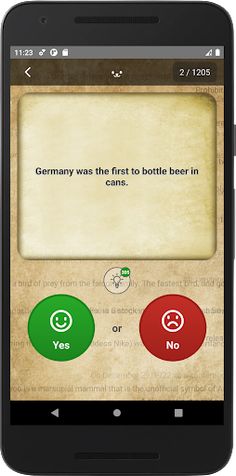 YES or NO - Quiz - Screenshot 1