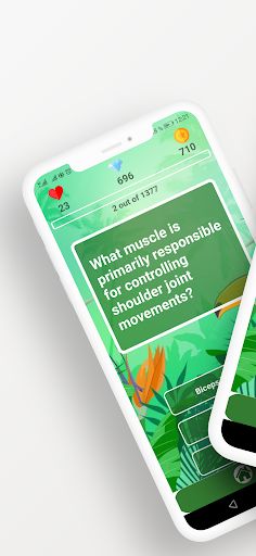 Anatomy Quiz game - Screenshot 1