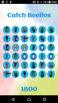 Catch Beetles - Screenshot 4