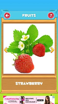 Learn Fruits and Vegetables - Screenshot 2