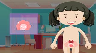 Vücudumuzu Tamamlayalım - Screenshot 1