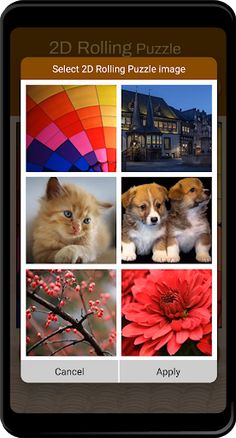 2D Rolling puzzle - Screenshot 3