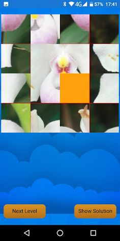Schiebepuzzle Orchidee - Screenshot 4