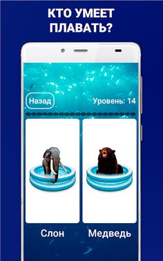 Викторина - Screenshot 4