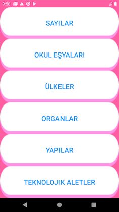Learning Turkish Words - Screenshot 3