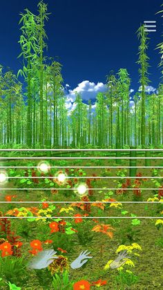 Mr. Qin - Screenshot 1