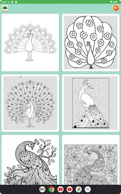 Coloring rainbow peacock - Screenshot 2