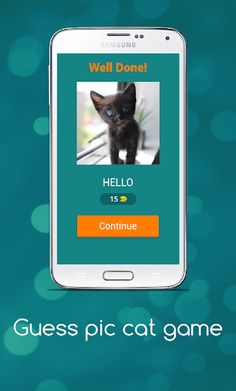 Guess Cute Cat Game - Screenshot 2