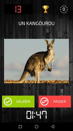 Photomime - Screenshot 3