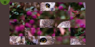 Cute Pets Puzzle - Screenshot 3