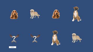 Dogs Pair Matching Game - Screenshot 3