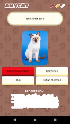 Anycat - Screenshot 2