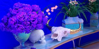 HoloVista - Screenshot 2