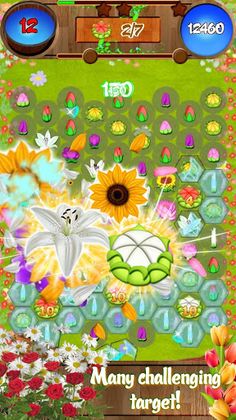 Flower Blast - Screenshot 2