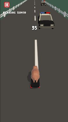 Skateboard Capybara - Screenshot 3