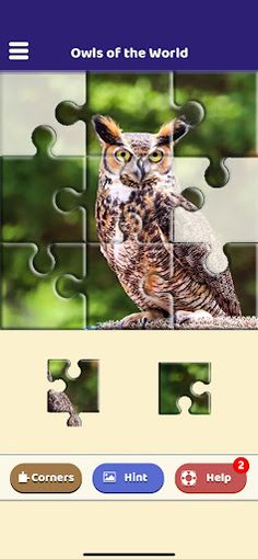 Owls of the World Puzzle - Screenshot 1
