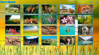 Puzzles for adults the nature - Screenshot 2