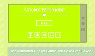 Cricket Minimalist Game - Screenshot 1