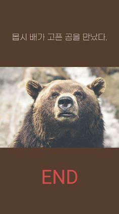 숲속에서 탈출하기 - Screenshot 3