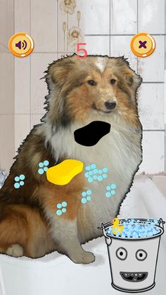 Dog Clean Master Pro+ - Screenshot 1