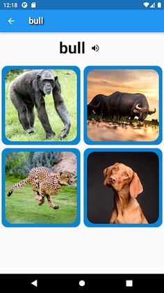 MisterEnglish - Aprende ingles - Screenshot 4