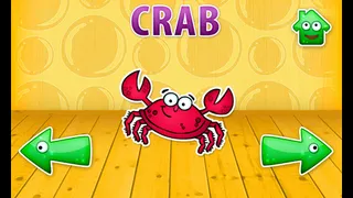 123 Kids Fun Flashcards - Screenshot 1