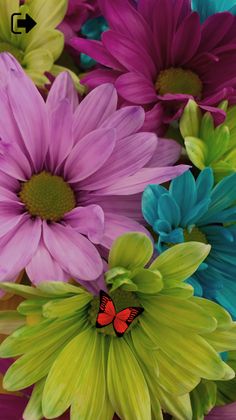 Cat Alone Toy - Games for Cats - Screenshot 1