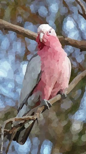 Fluffy Colors: Color by Number - Screenshot 2