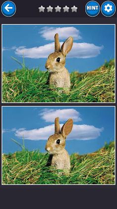 Find the difference - Screenshot 1